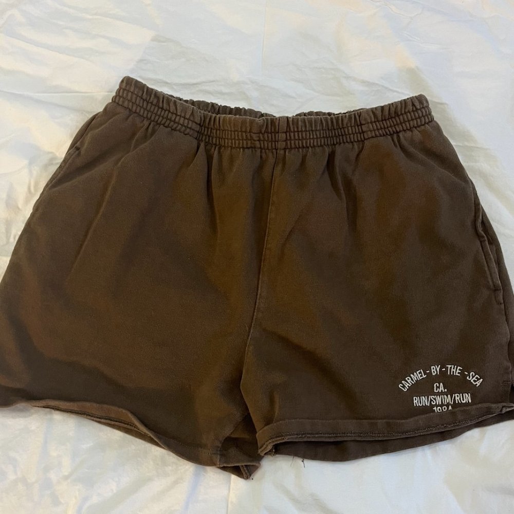 BRANDY MELVILLE Brown Shorts